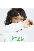 BLUSÃO MOLETINHO ADIDAS ESTAMPADO COLLEGE FEMININO - Cinza BLUSÃO MOLETINHO ADIDAS ESTAMPADO COLLEGE FEMININO - Cinza