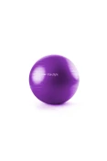 BOLA DE EXERCÍCIOS HIDROLIGHT 65CM - Roxo BOLA DE EXERCÍCIOS HIDROLIGHT 65CM - Roxo