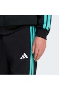 CALÇA ADIDAS MERCEDES - AMG PETRONAS F1 TEAM DNA - Preto/verde CALÇA ADIDAS MERCEDES - AMG PETRONAS F1 TEAM DNA - Preto/verde