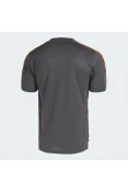 CAMISA ADIDAS FLAMENGO TREINO MASCULINO - Grafite/vermelho CAMISA ADIDAS FLAMENGO TREINO MASCULINO - Grafite/vermelho