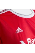 CAMISA ADIDAS INTERNACIONAL OFICIAL 1 2020 SEM NÚMERO FEMININA - Vermelho/branco CAMISA ADIDAS INTERNACIONAL OFICIAL 1 2020 SEM NÚMERO FEMININA - Vermelho/branco