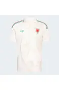 CAMISA ADIDAS PAIS DE GALES TORCEDOR II 26 MASCULINA - Bege CAMISA ADIDAS PAIS DE GALES TORCEDOR II 26 MASCULINA - Bege