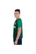 CAMISA ADIDAS PALMEIRAS OFICIAL 1 2016 SEM NÚMERO INFANTIL - Verde/branco CAMISA ADIDAS PALMEIRAS OFICIAL 1 2016 SEM NÚMERO INFANTIL - Verde/branco