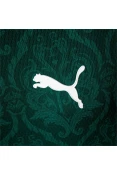 CAMISA PALMEIRAS OFICIAL I PUMA 2020/21 S/Nº - Verde CAMISA PALMEIRAS OFICIAL I PUMA 2020/21 S/Nº - Verde