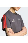 CAMISETA ADIDAS AUDI REVOLUT F1 TEAM DNA - Chumbo CAMISETA ADIDAS AUDI REVOLUT F1 TEAM DNA - Chumbo