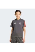 CAMISETA ADIDAS AUDI REVOLUT F1 TEAM DNA - Chumbo CAMISETA ADIDAS AUDI REVOLUT F1 TEAM DNA - Chumbo
