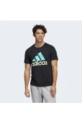 CAMISETA ADIDAS BASIC LOGO MASCULINA - Preto/verde