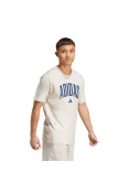 CAMISETA ADIDAS COLLEGIATE LINEAGE MASCULINA - Cinza CAMISETA ADIDAS COLLEGIATE LINEAGE MASCULINA - Cinza