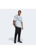 CAMISETA ADIDAS GRAPHIC POSITIVE T MASCULINA - Azul