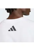 CAMISETA ADIDAS MERCEDES - AMG PETRONAS F1 TEAM DNA - Branco CAMISETA ADIDAS MERCEDES - AMG PETRONAS F1 TEAM DNA - Branco