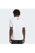 CAMISETA ADIDAS MERCEDES - AMG PETRONAS F1 TEAM DNA - Branco CAMISETA ADIDAS MERCEDES - AMG PETRONAS F1 TEAM DNA - Branco