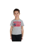CAMISETA ADIDAS SPIDERMAN INFANTIL - Cinza/vermelho CAMISETA ADIDAS SPIDERMAN INFANTIL - Cinza/vermelho