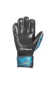 LUVA POKER CAMPO EVOLUTION SEMI PROFISSIONAL - Preto/azul LUVA POKER CAMPO EVOLUTION SEMI PROFISSIONAL - Preto/azul